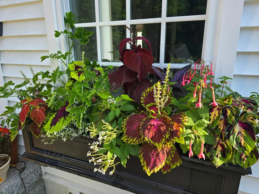 Seasonal Containers